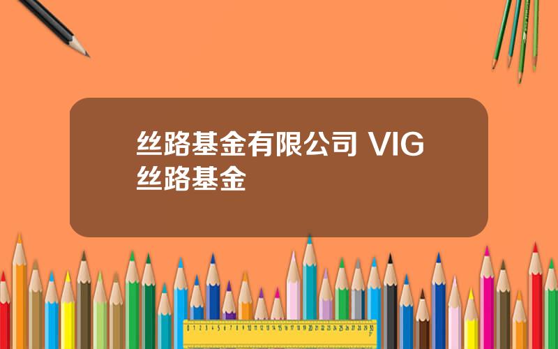丝路基金有限公司 VIG丝路基金